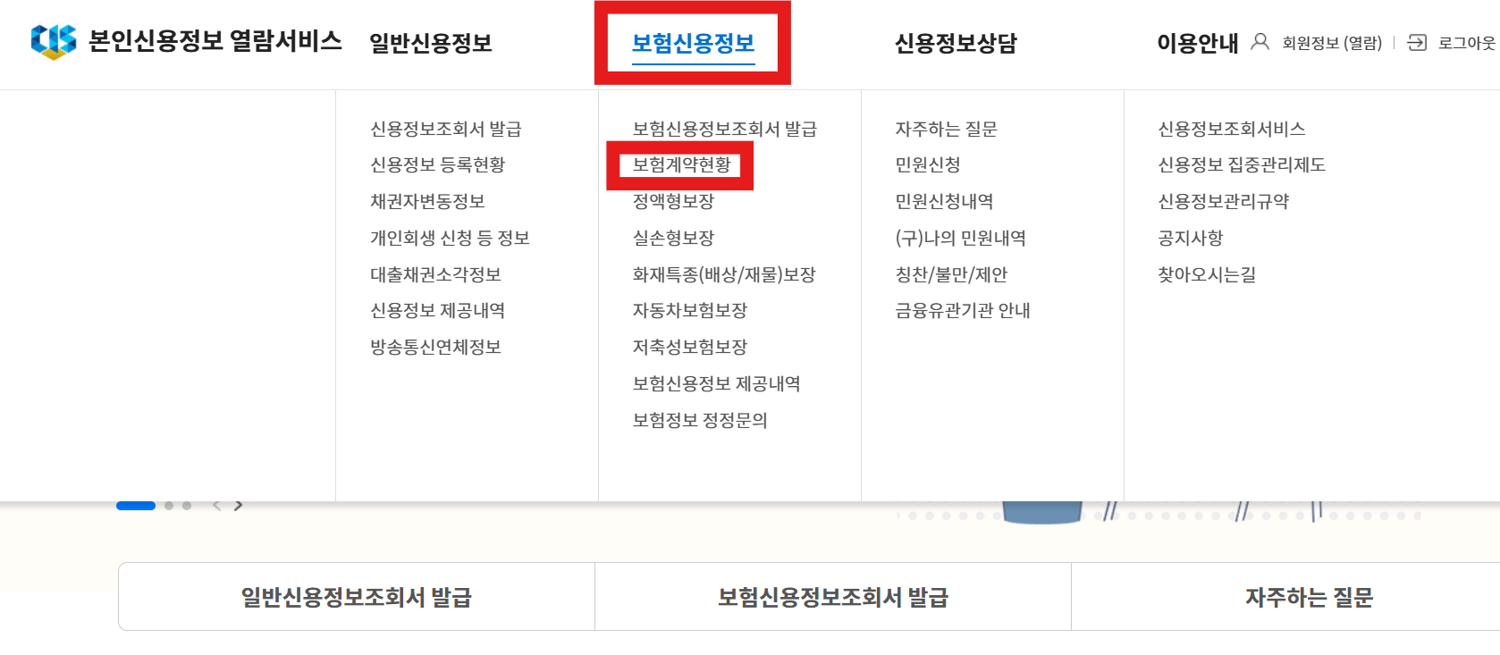 내보험다보여-보험계약현황