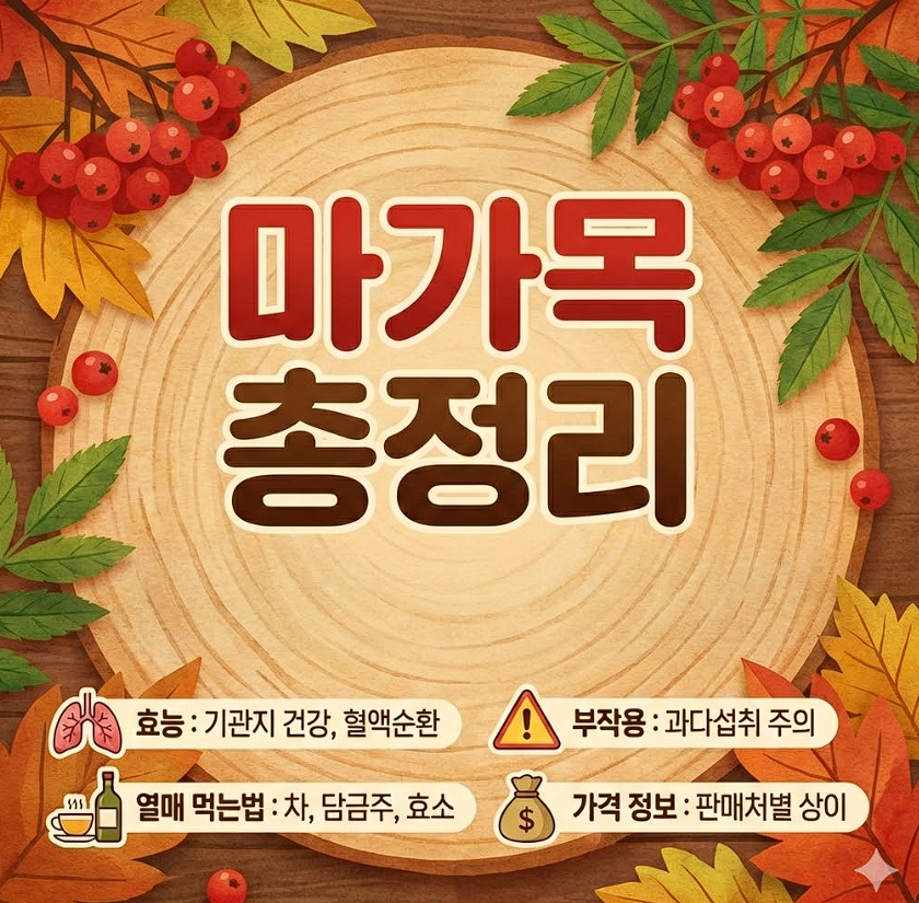 마가목 효능 부작용 열매 먹는법