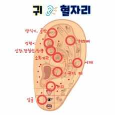 귀 혈자리 위치 지압법