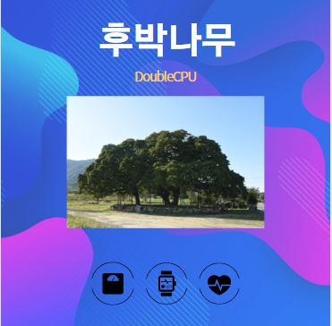 후박나무 알아보기