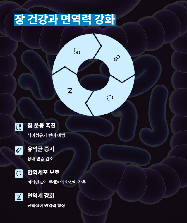 장 건강과 면역력 강화