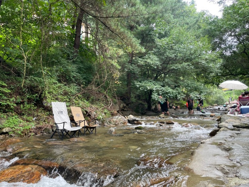 수목원 프로방스