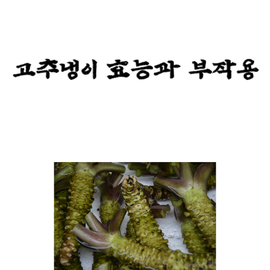 고추냉이 효능과 부작용