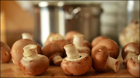 조리대에 놓인 버섯