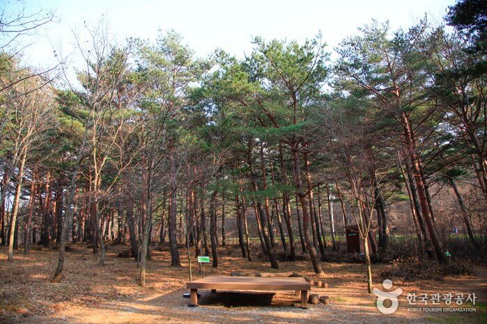 영양 가볼만한곳 베스트 10