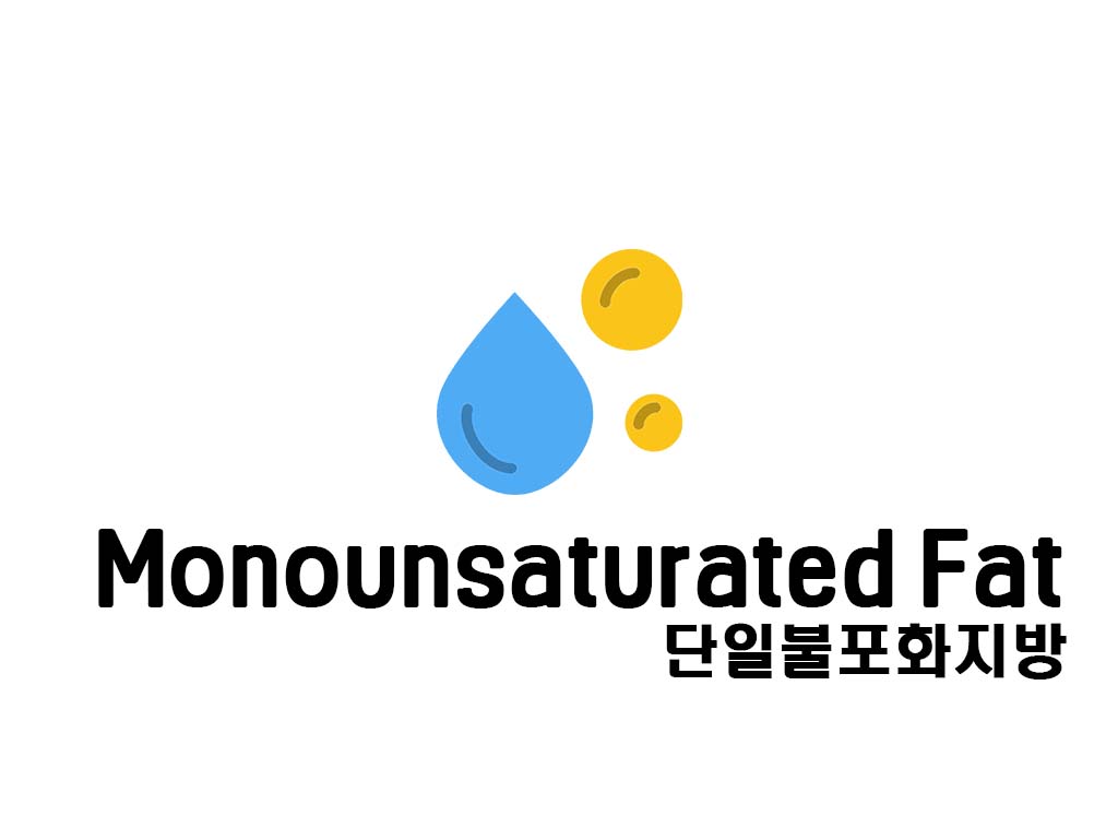 단일불포화 지방