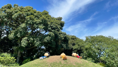 제주 스누피가든