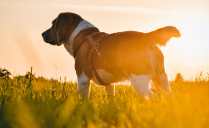 치료 시 주의사항 &amp; Q&amp;A 관련 사진