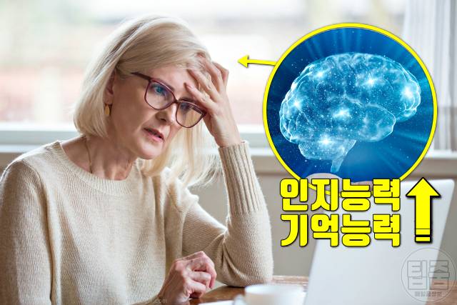 죽순 효능 죽순부작용 죽순영양성분 치매 인지 기억력 집중력