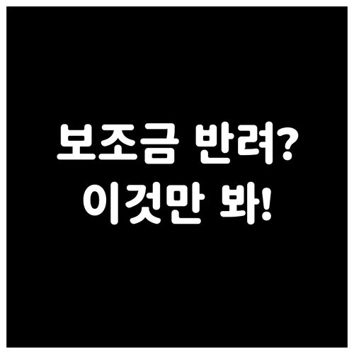 모르면 손해 보는 전기차 보조금 반려..
