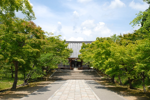 교토 여행 추천 닌나지