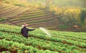 농업경영체 등록