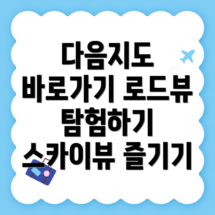 카카오맵