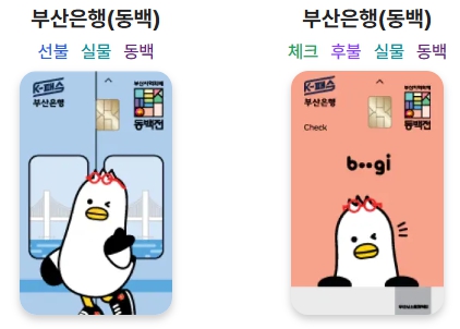 K패스/지역별/혜택