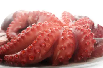 문어 가격 및 효능&amp;#44; 영양성분