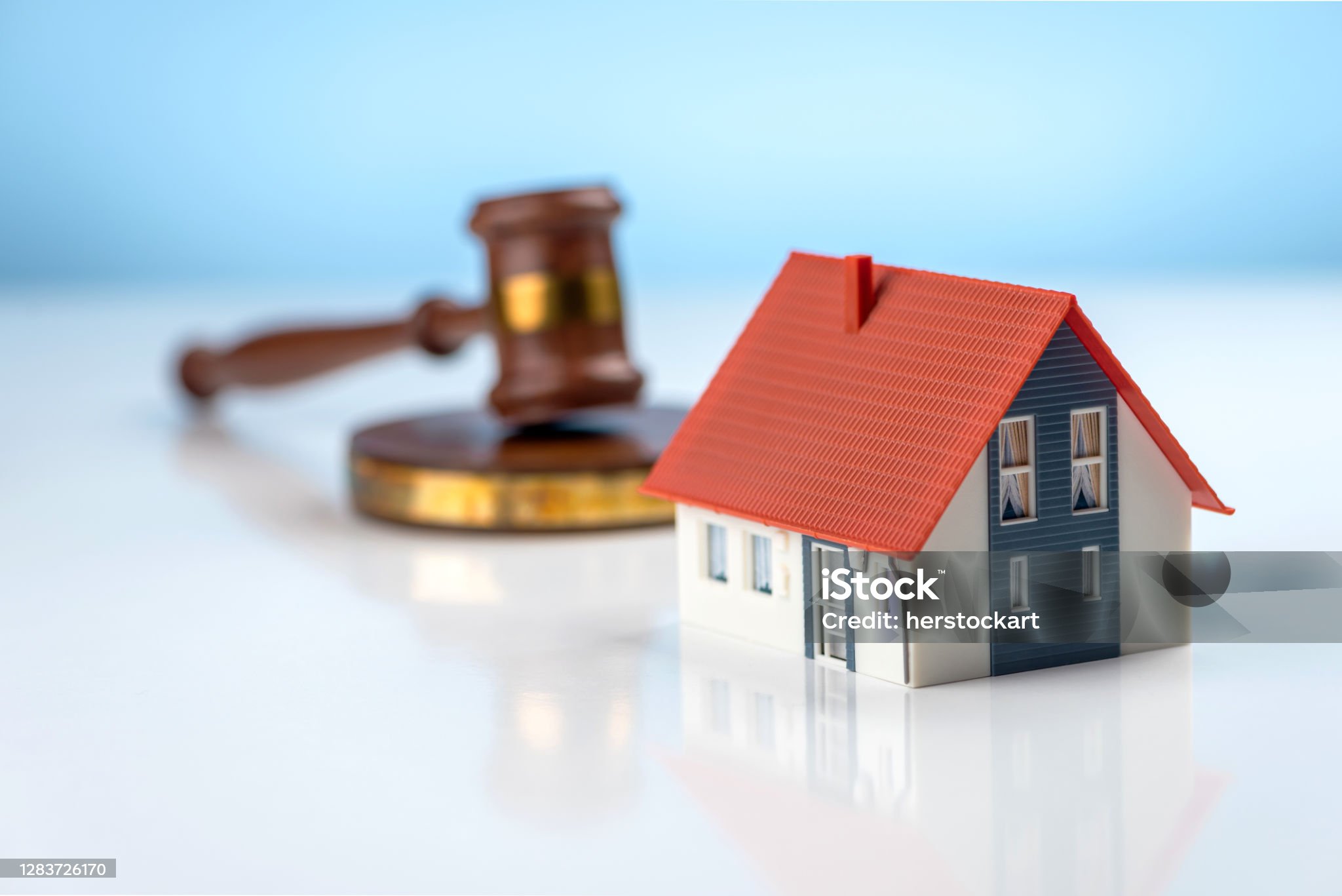 경매 옥션 공매