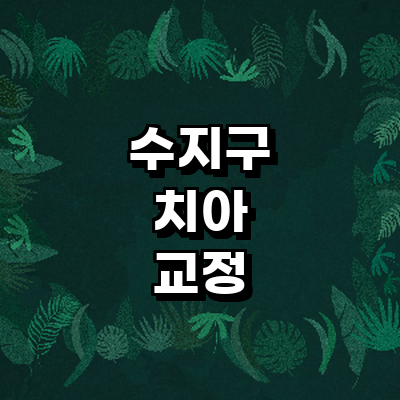 용인 수지구 교정 치과