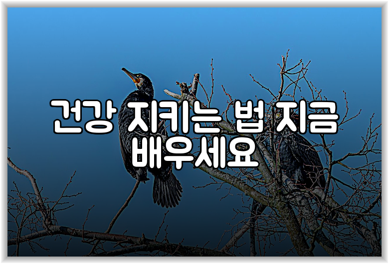 건강 지키는 법 지금 배우세요