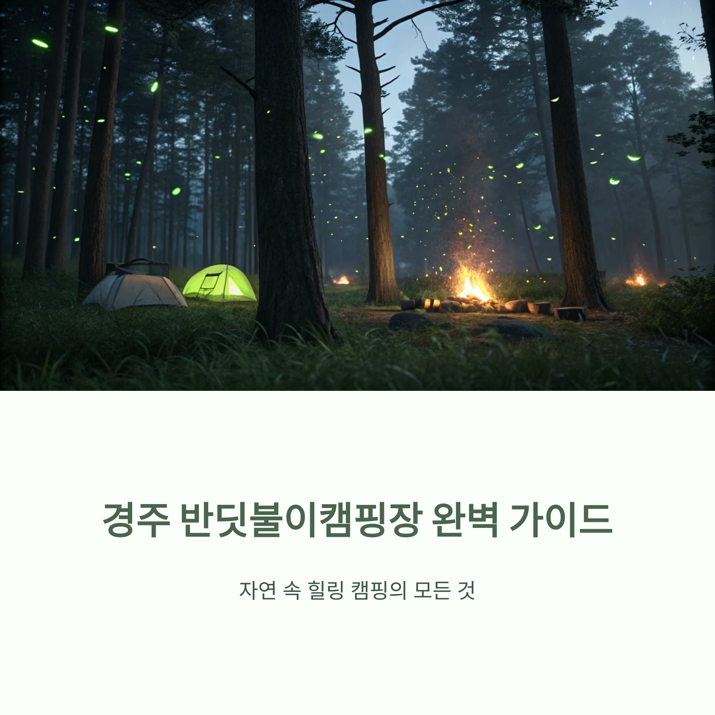 경주 반딧불이캠핑장 완벽 가이드: 자연 속 힐링 캠핑의 모든 것
