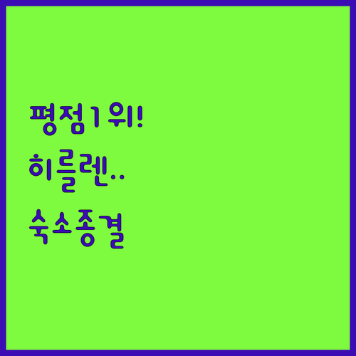 평점 1위에는 다 이유가 있다 네덜란..