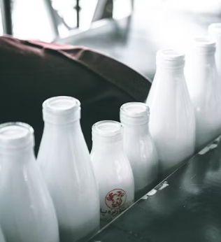 목디스크에 좋은 음식 영양제 식단