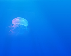 겨울철 난방 적정온도