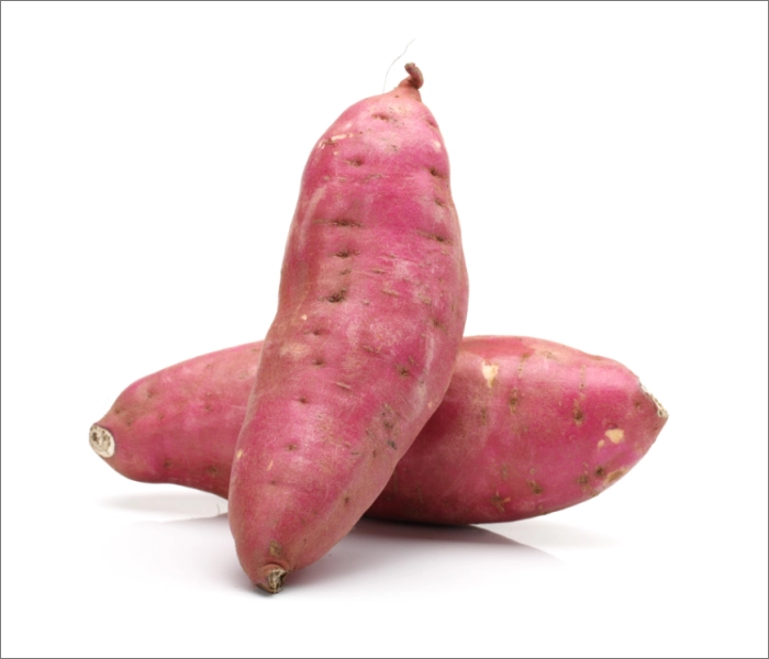 생고구마-칼로리