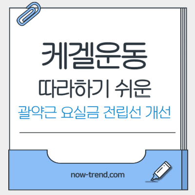 쉬운 케겔운동 방법 전립선 항문근 강화 요실금 예방 섬네일