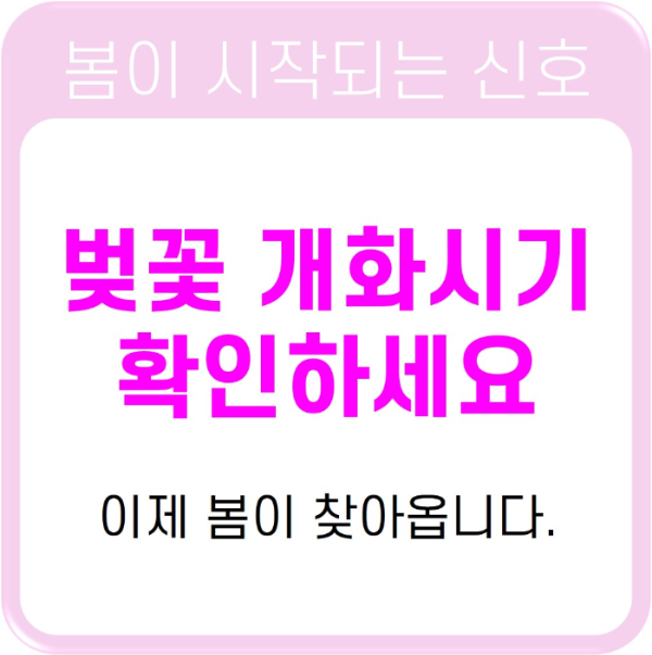 벚꽃 개화 시기 확인