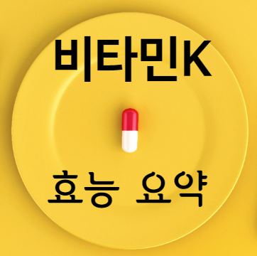 비타민K 효능 요약