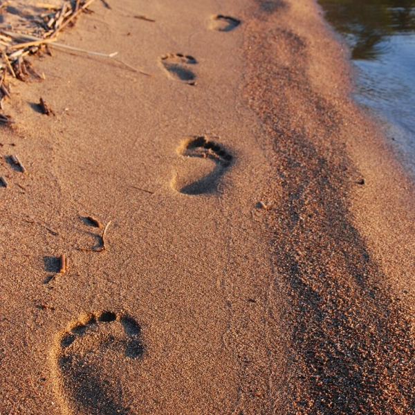 맨발 걷기 효능 사진 10