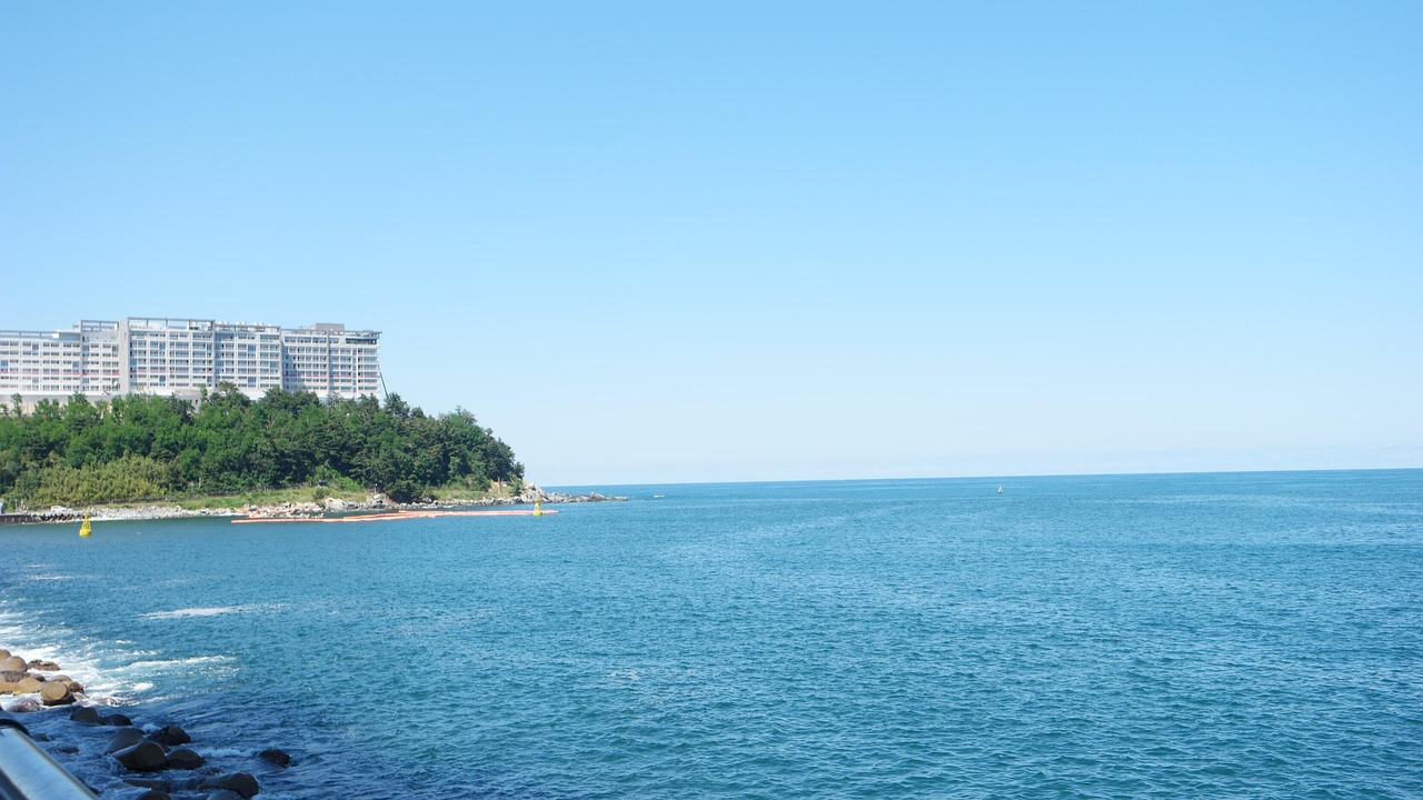 2026년 양양 부동산 정보 관련 사진