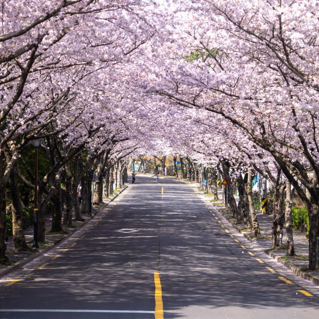 관련 여행지 사진이미지