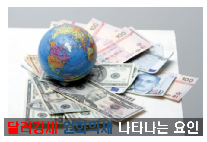 환율전망