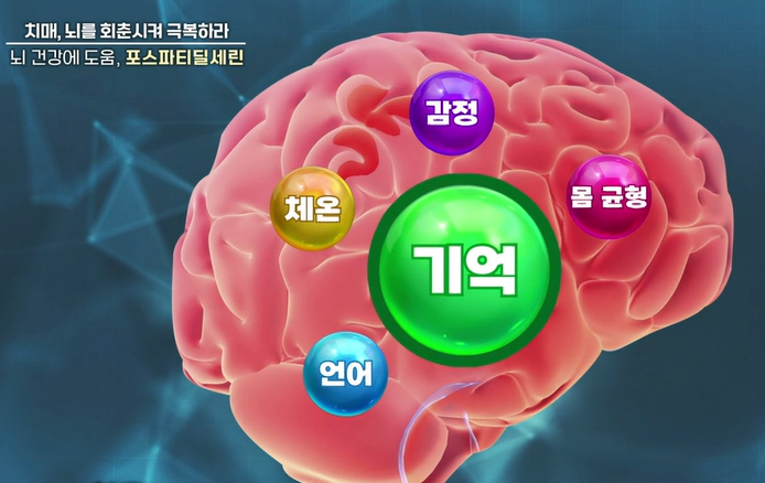 포스파티딜세린 효능