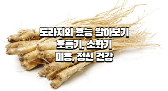 도라지의 효능