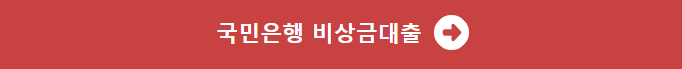 국민은행 비상금대출