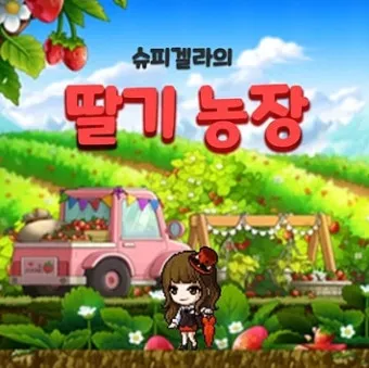 메이플 슈피겔라 황금 딸기농장 효율 극대화 실전 팁_6