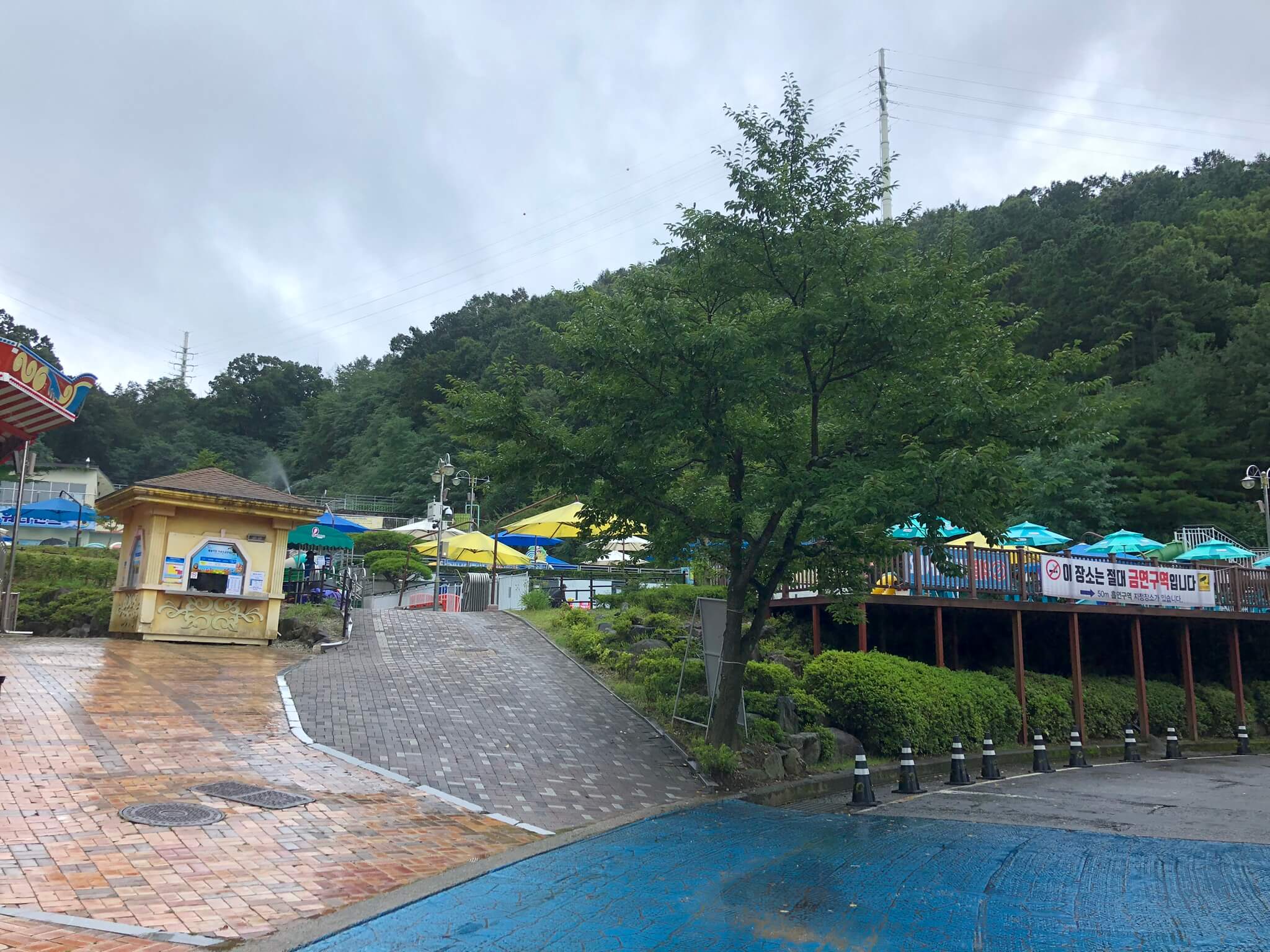 오월드 입장료