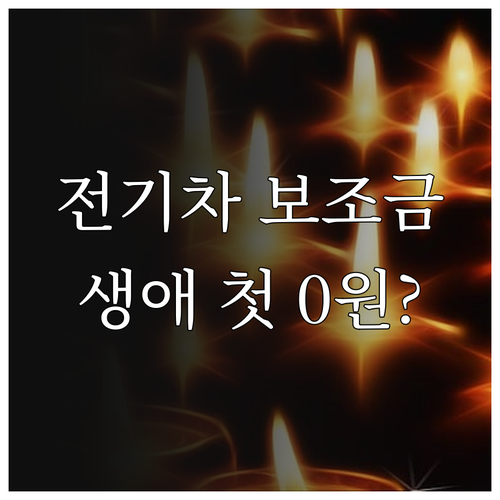 청년층 생애 최초 전기차 보조금 추가..