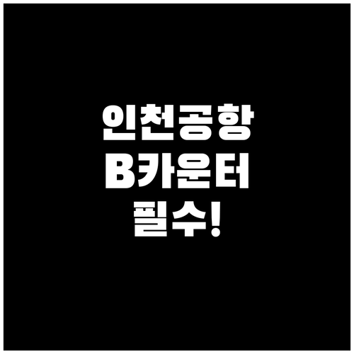인천공항 파라타항공 위치 T1 B카운..