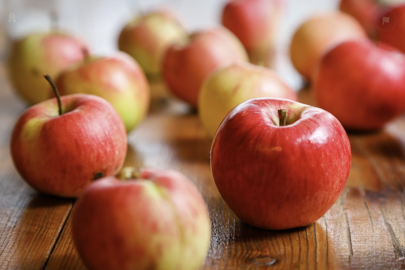 2024 문경 사과축제