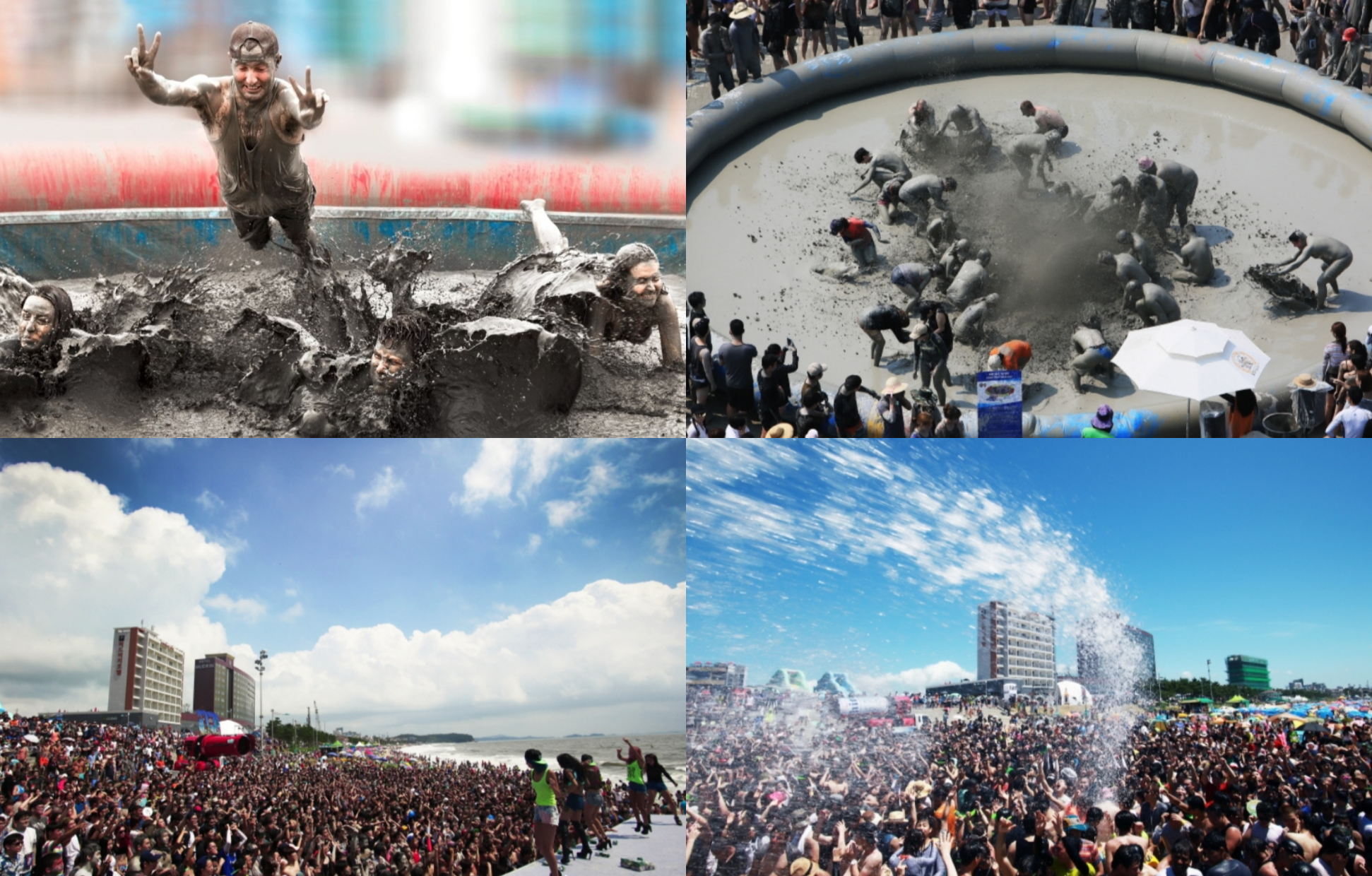 보령 머드축제