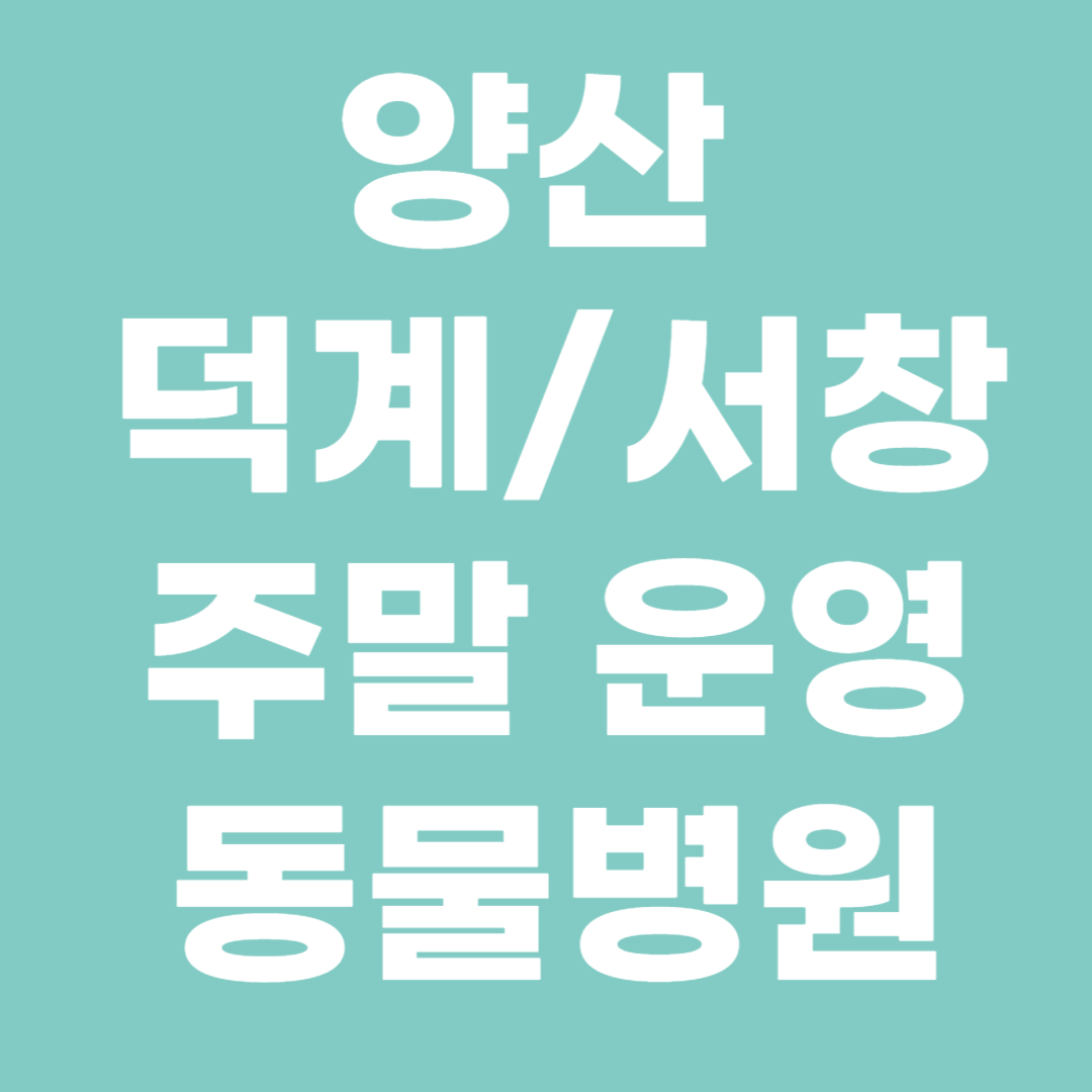 양산 덕계 서창 주말운영 동물병원 안내