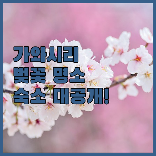 가와시리 강변 벚꽃 나들이 코스와 구..
