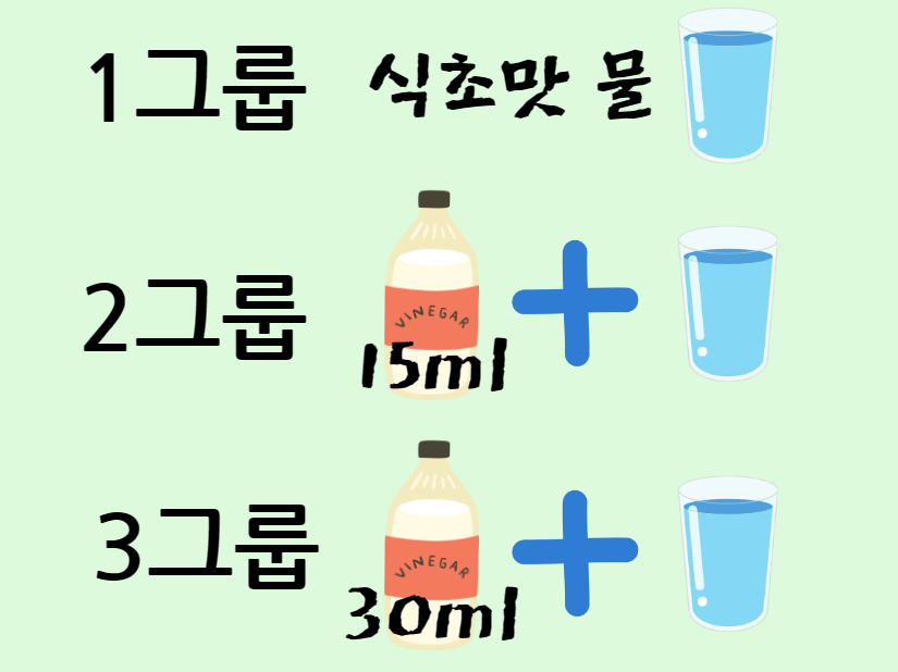 다이어트 실험 그룹