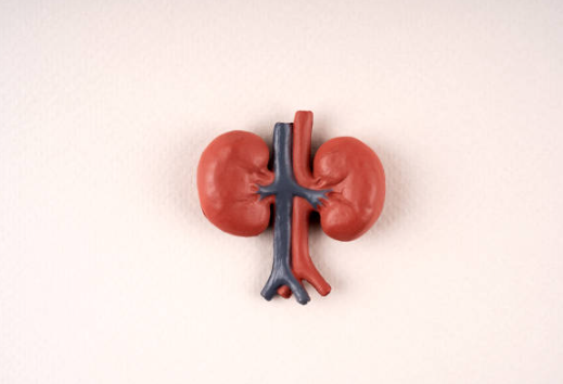당뇨병콩팥병
