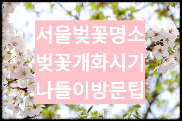 서울벚꽃명소
