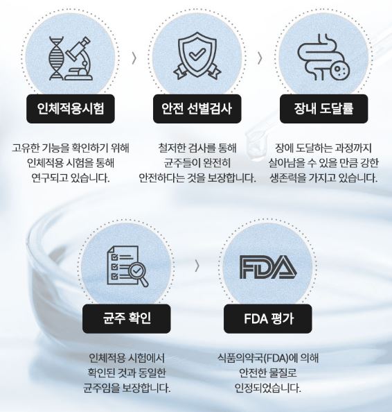 강아지-프로바이오틱스-에이스