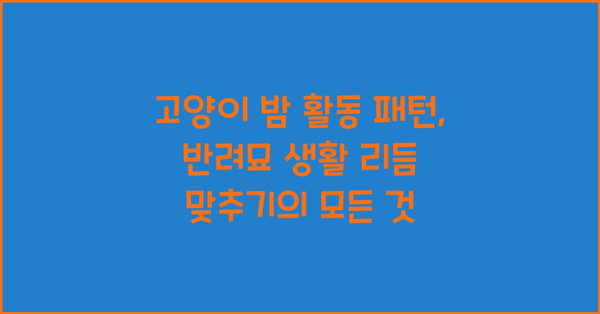 고양이 밤 활동 패턴, 반려묘 생활 리듬 맞추기